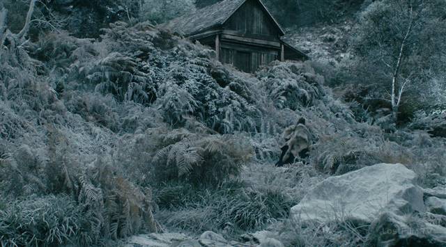 Викинги 5 сезон 12 серия кадр 6